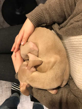 적구님이 올린 리뷰 사진 2