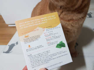 솔탄이love님이 올린 리뷰 사진 3