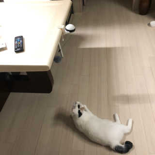 ccowjd님이 올린 리뷰 사진 2