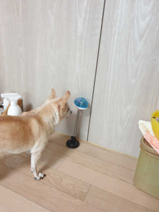 꽃사과님이 올린 리뷰 사진 1