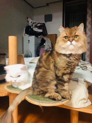 춘향님이 올린 리뷰 사진 4