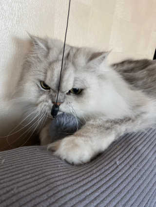 럽S하3님이 올린 리뷰 사진 2