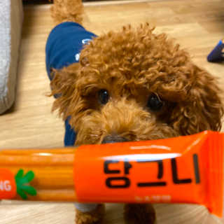 포뇨님이 올린 리뷰 사진 2