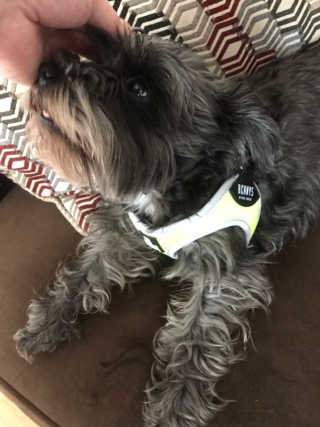 NapaValleyCyndi님이 올린 리뷰 사진 3