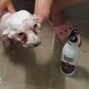 공팔럽님이 올린 리뷰 사진 2