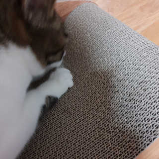 미애님이 올린 리뷰 사진 3