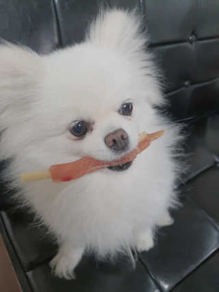 쟈스민님이 올린 리뷰 사진 2