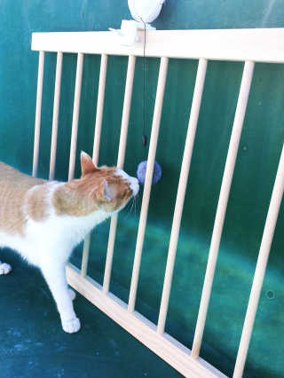 최정임님이 올린 리뷰 사진 3