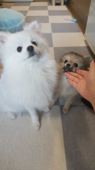 뿌쏘님이 올린 리뷰 사진 2