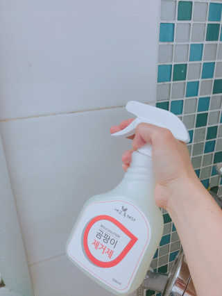 롤리비비님이 올린 리뷰 사진 2