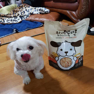 [펫토리아] 맛도 영양도 BEST 한끼뚝딱 강아지 사료 — 5점을 준 리뷰어가 2018년 12월 올린 사용 사진
