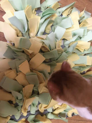 하나님이 올린 리뷰 사진 2