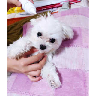 요술공주밍키님이 올린 리뷰 사진 3