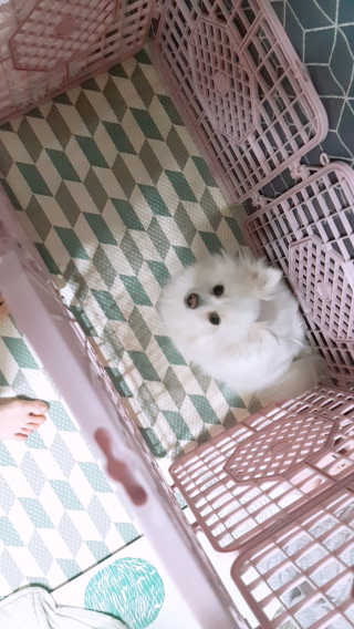 연보라님이 올린 리뷰 사진 4