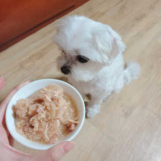 [펫토리아] 토로토로 하치  강아지 파우치간식 — 4.5점을 준 리뷰어가 2019년 6월 올린 사용 사진