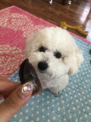 김나영님이 올린 리뷰 사진 2