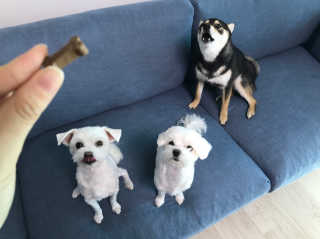 꾸딩님이 올린 리뷰 사진 4