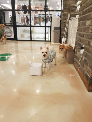 히야님이 올린 리뷰 사진 2