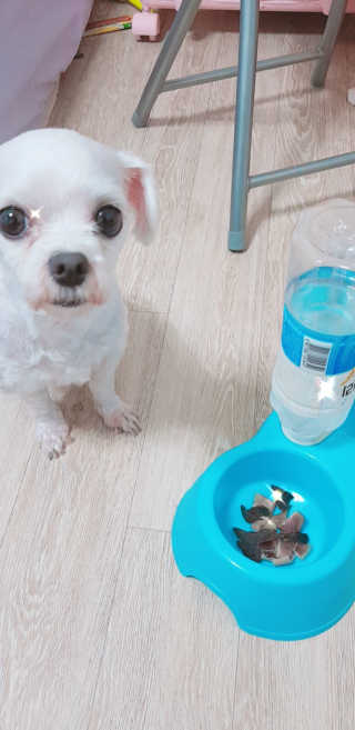 이춘호님이 올린 리뷰 사진 2