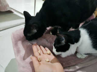 hammy님이 올린 리뷰 사진 4
