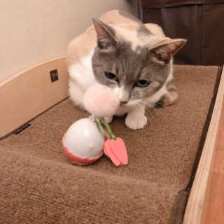 lala님이 올린 리뷰 사진 1