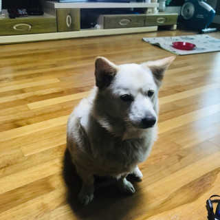 92883님이 올린 리뷰 사진 3