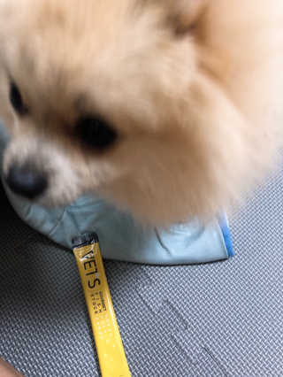 삼백이님이 올린 리뷰 사진 3