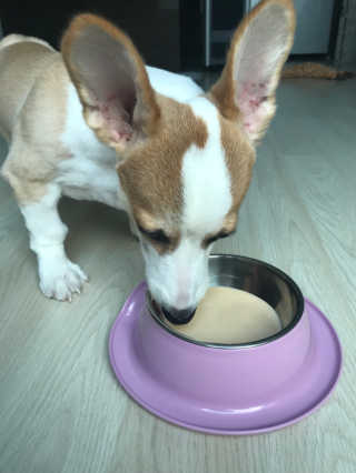 김효현님이 올린 리뷰 사진 2