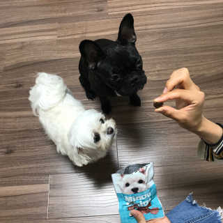 송주연님이 올린 리뷰 사진 1