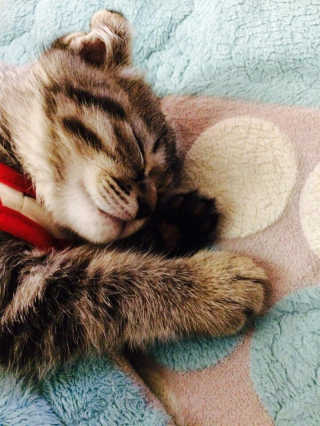 YongunChoi님이 올린 리뷰 사진 2