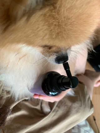 감자링님이 올린 리뷰 사진 2