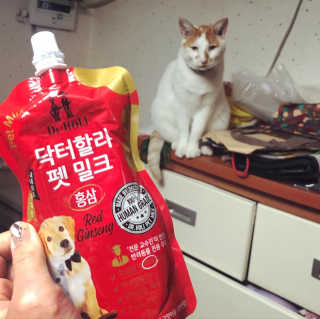 닥터할리펫밀크 8종 — 5점을 준 리뷰어가 2019년 9월 올린 사용 사진