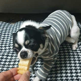 썽이mom앙꼬님이 올린 리뷰 사진 2