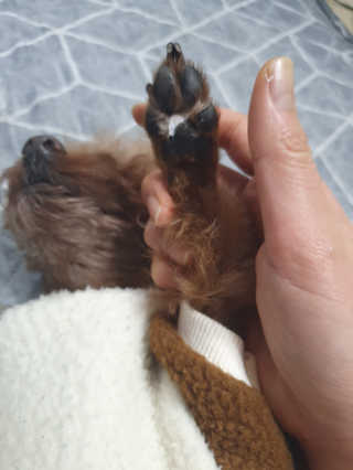 *명*수*님이 올린 리뷰 사진 2