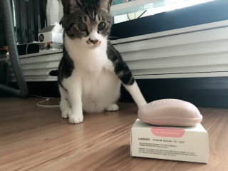 리째님이 올린 리뷰 사진 2