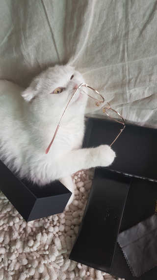 논지님이 올린 리뷰 사진 3