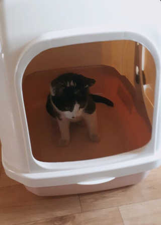 Nan.nani님이 올린 리뷰 사진 3