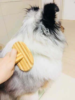 바쿠미님이 올린 리뷰 사진 2