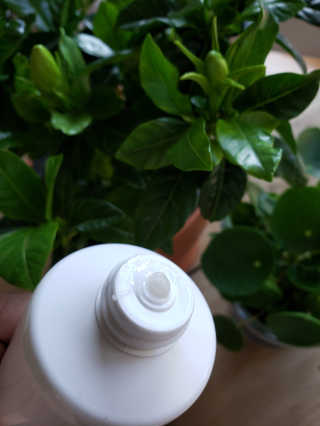 www.BoredMom.com님이 올린 리뷰 사진 2