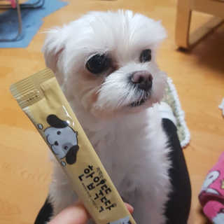 [펫토리아] 강아지,고양이겸용 짜먹는 한입뚝딱 — 4.5점을 준 리뷰어가 2019년 1월 올린 사용 사진