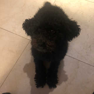 ㅎㅎㅎㅈㅈ님이 올린 리뷰 사진 3