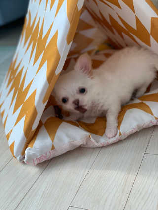 호진이맘♡님이 올린 리뷰 사진 2