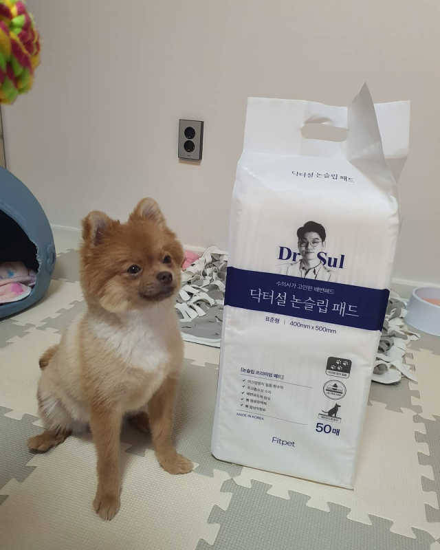 닥터설 논슬립 패드 리뷰 사진