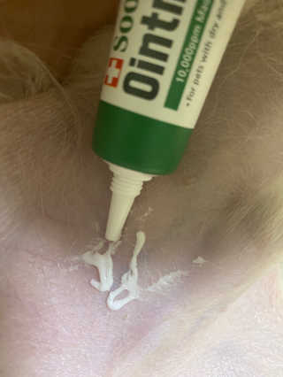 눕히님이 올린 리뷰 사진 3