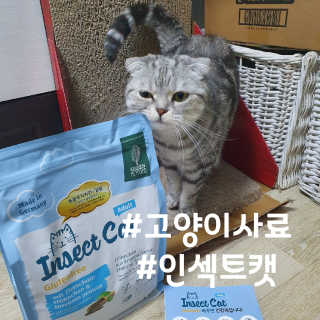 그린펫푸드 인섹트캣 글루텐프리（1.2KG） — 5점을 준 리뷰어가 2019년 7월 올린 사용 사진