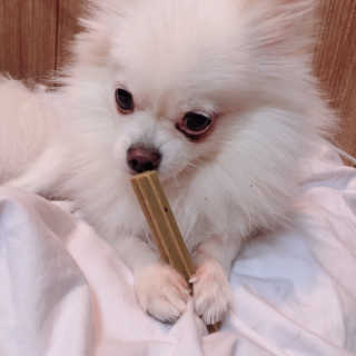 seul님이 올린 리뷰 사진 3
