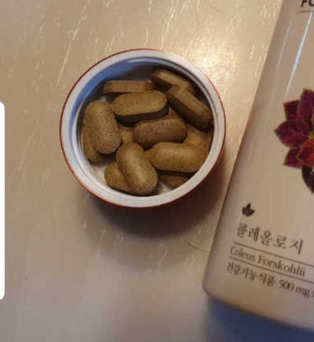 콜레올로지 리뷰 사진
