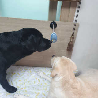 Lilly❤️님이 올린 리뷰 사진 2