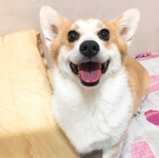 혀나님이 올린 리뷰 사진 1