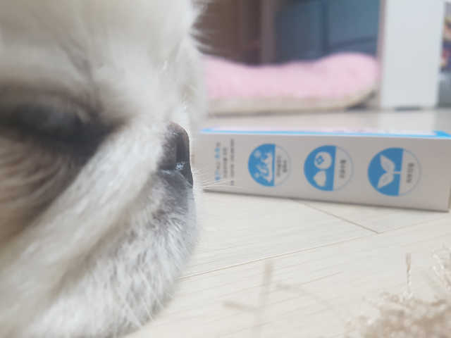 아이스스틱 리뷰 사진